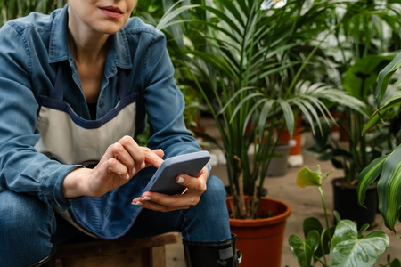 instagram-hacks-2026-tuincentrum