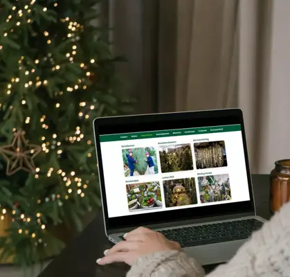 5 tips om online te pieken met kerst